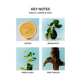 NEST New York Amalfi Lemon Mint three-wick candle 600g (British brand)