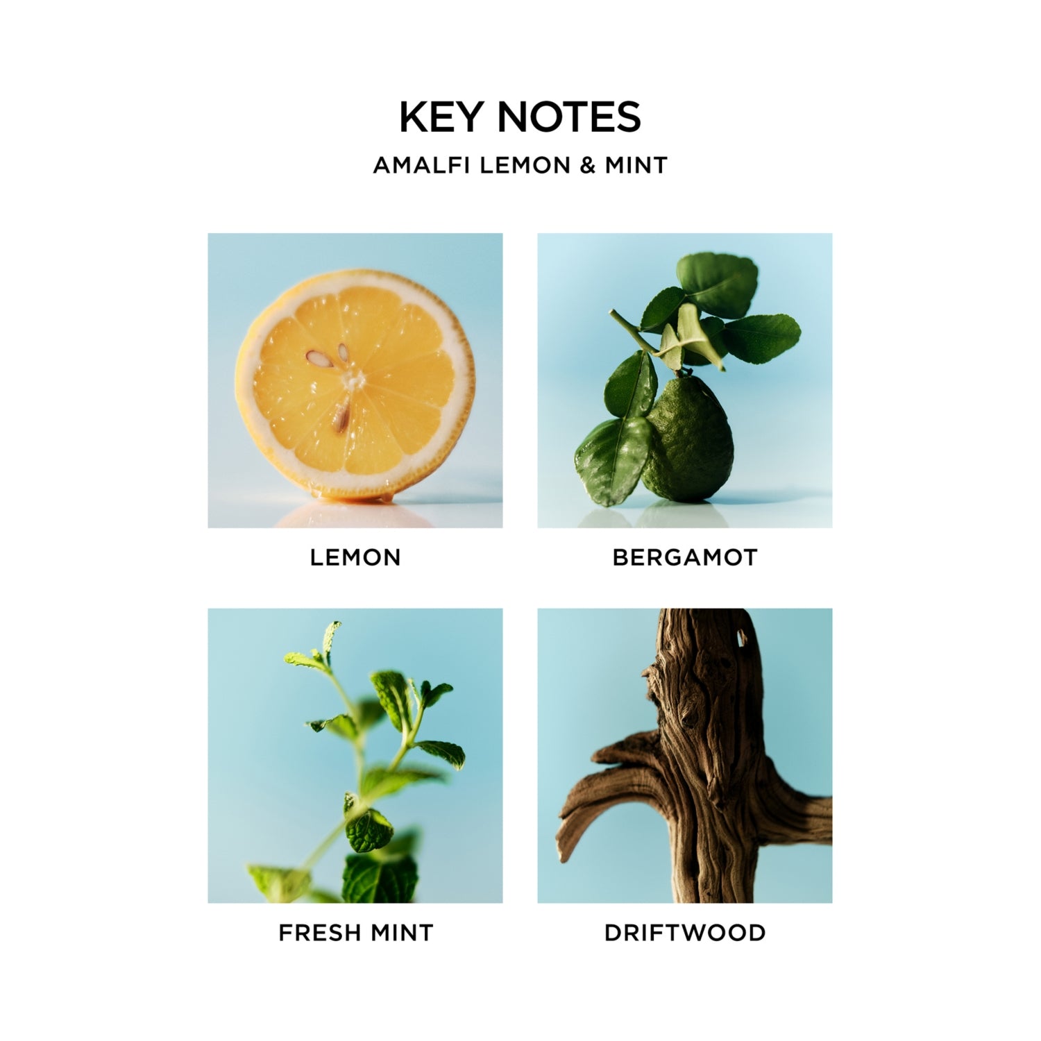 NEST Amalfi Lemon & Mint reed diffuser 175ml, imported from the UK