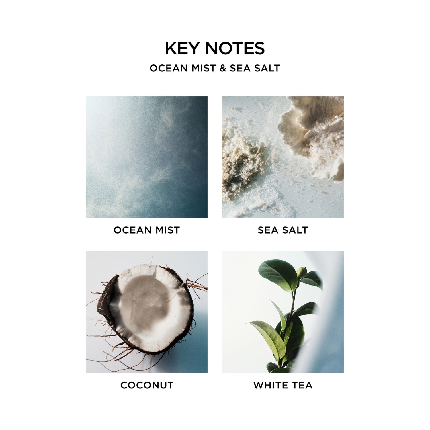 NEST New York Ocean Mist reed diffuser 175ml - British product