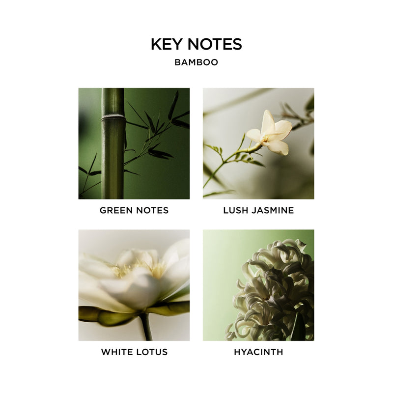 NEST New York Bamboo scented reed diffuser 175ml, UK version
