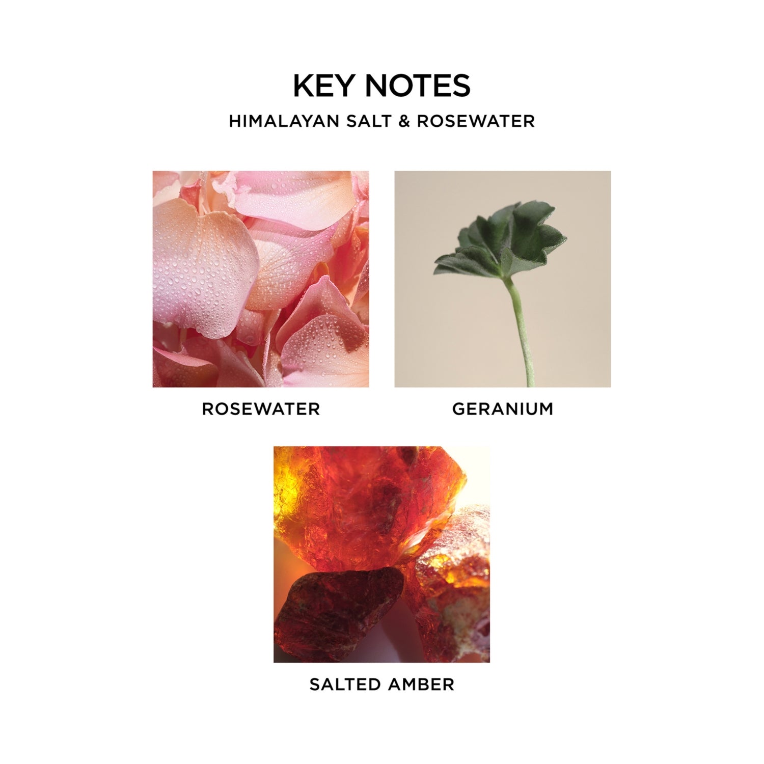 NEST New York reed diffuser Himalayan Salt Rosewater 175ml - British product