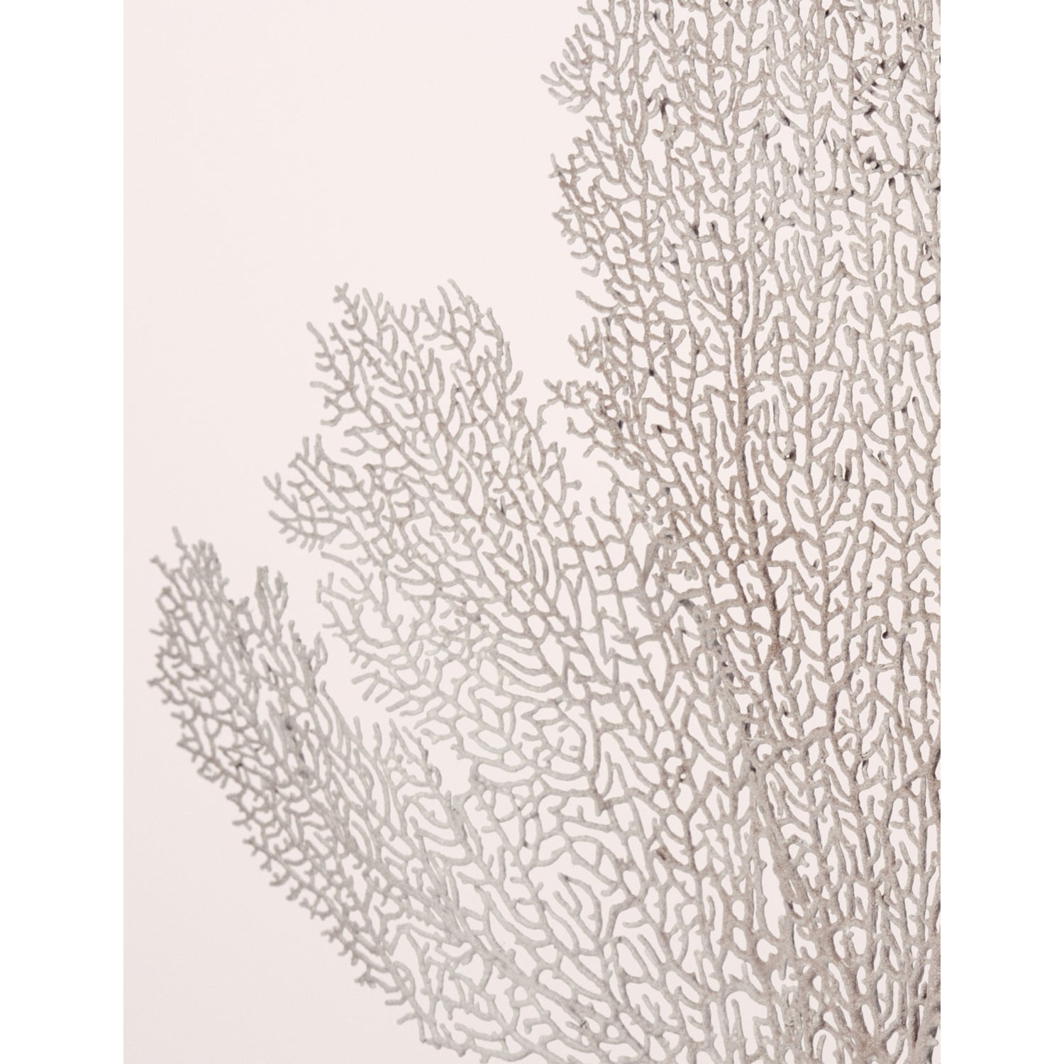 NEST New York Cerulean Coast reed diffuser 500ml, UK version