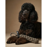 L'floof Braid cotton rope tug dog toy 36cm, UK version