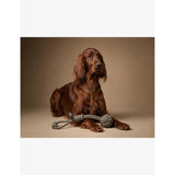 L'floof Loop rope dog toy 48cm x 8cm - British product