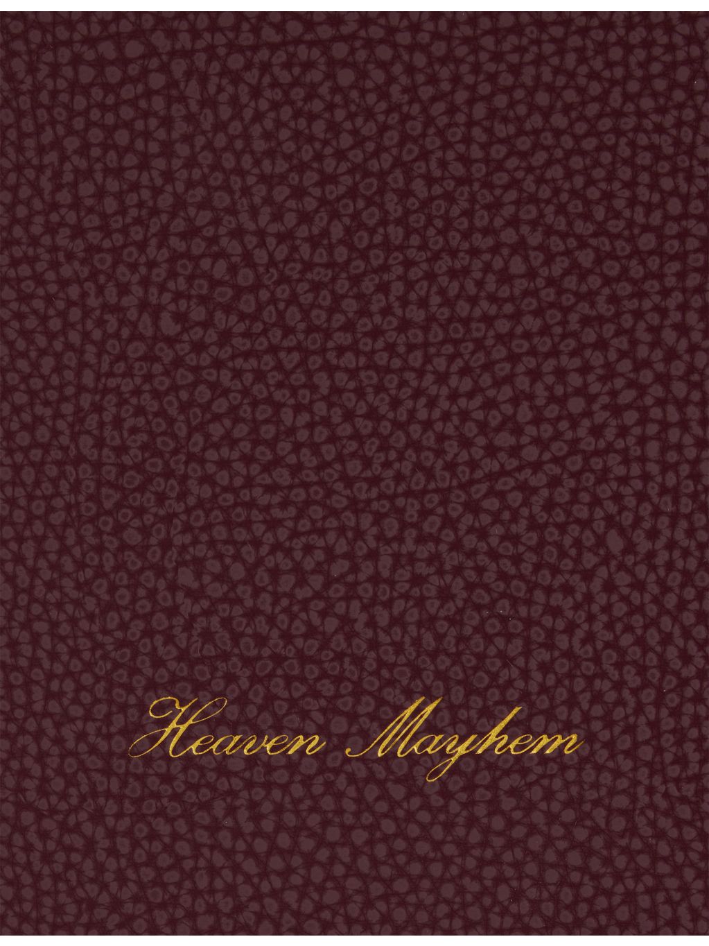 Heaven Mayhem pebbled vegan Air 13 laptop case, imported from the UK