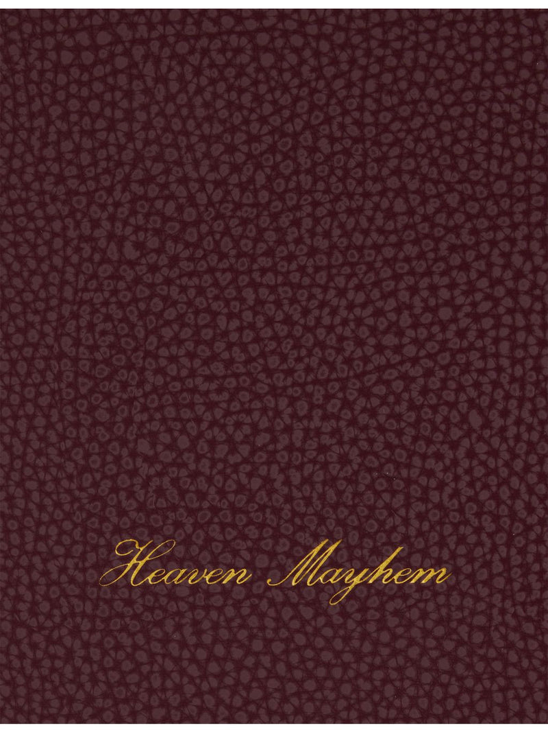 Heaven Mayhem pebbled vegan Air 13 laptop case, imported from the UK