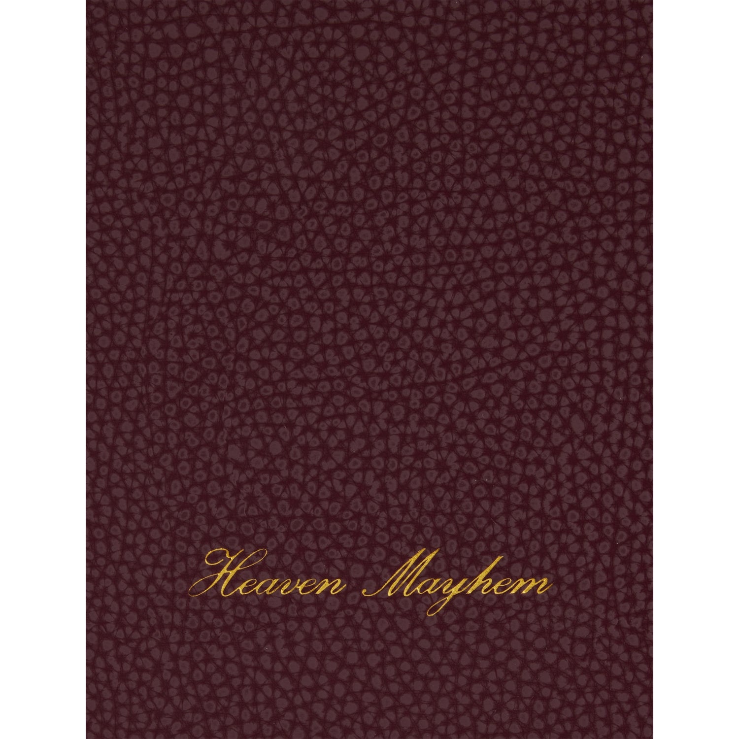 Heaven Mayhem vegan leather laptop case for MacBook Air 15 - British product