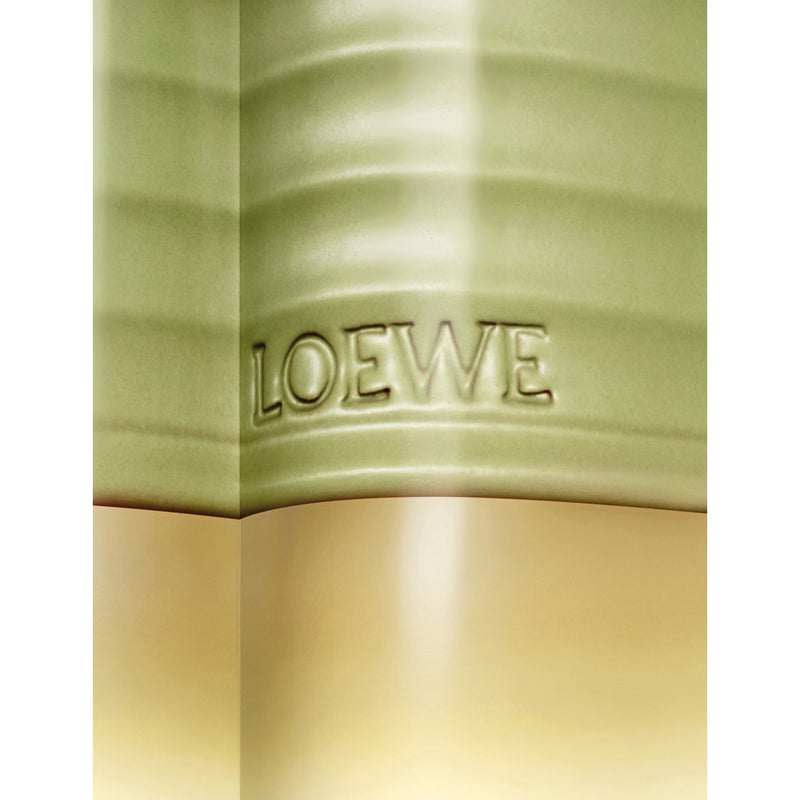 Loewe pistachio scented candle 610g (British brand)