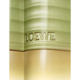 Loewe pistachio scented candle 610g (British brand)