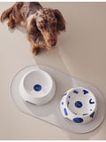 Alessi Itsumo small porcelain dog water bowl, imported from the UK