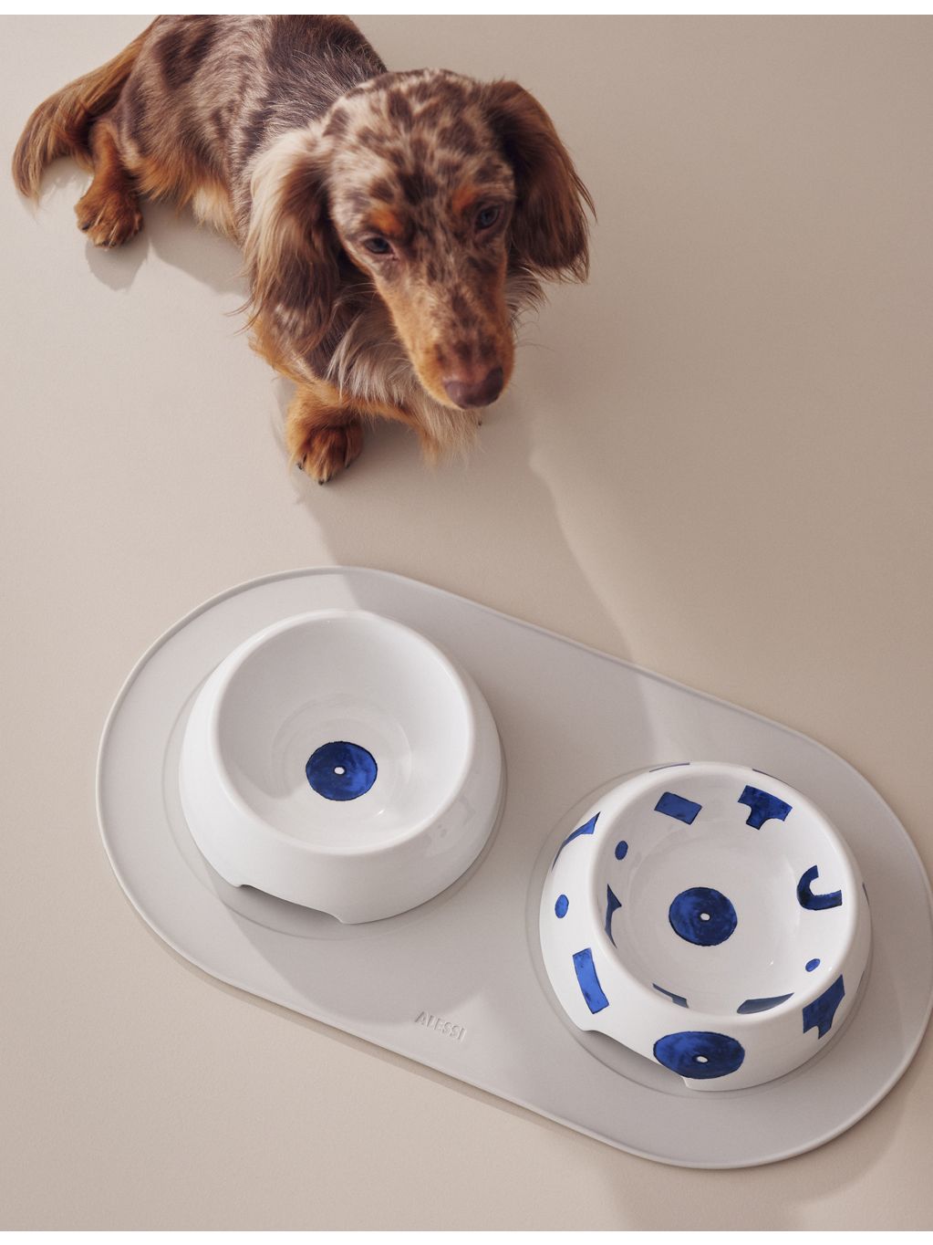 Alessi Itsumo small porcelain dog food bowl, blue pattern (British brand)