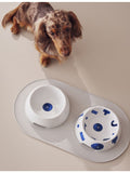 Alessi Itsumo small porcelain dog food bowl, blue pattern (British brand)