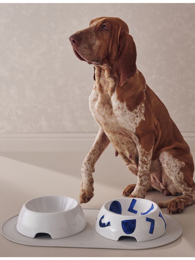 Alessi Itsumo large porcelain dog water bowl 25cm, imported from the UK