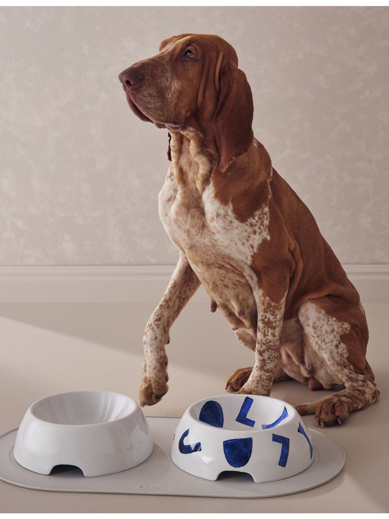 Alessi Itsumo large porcelain dog food bowl, imported from the UK