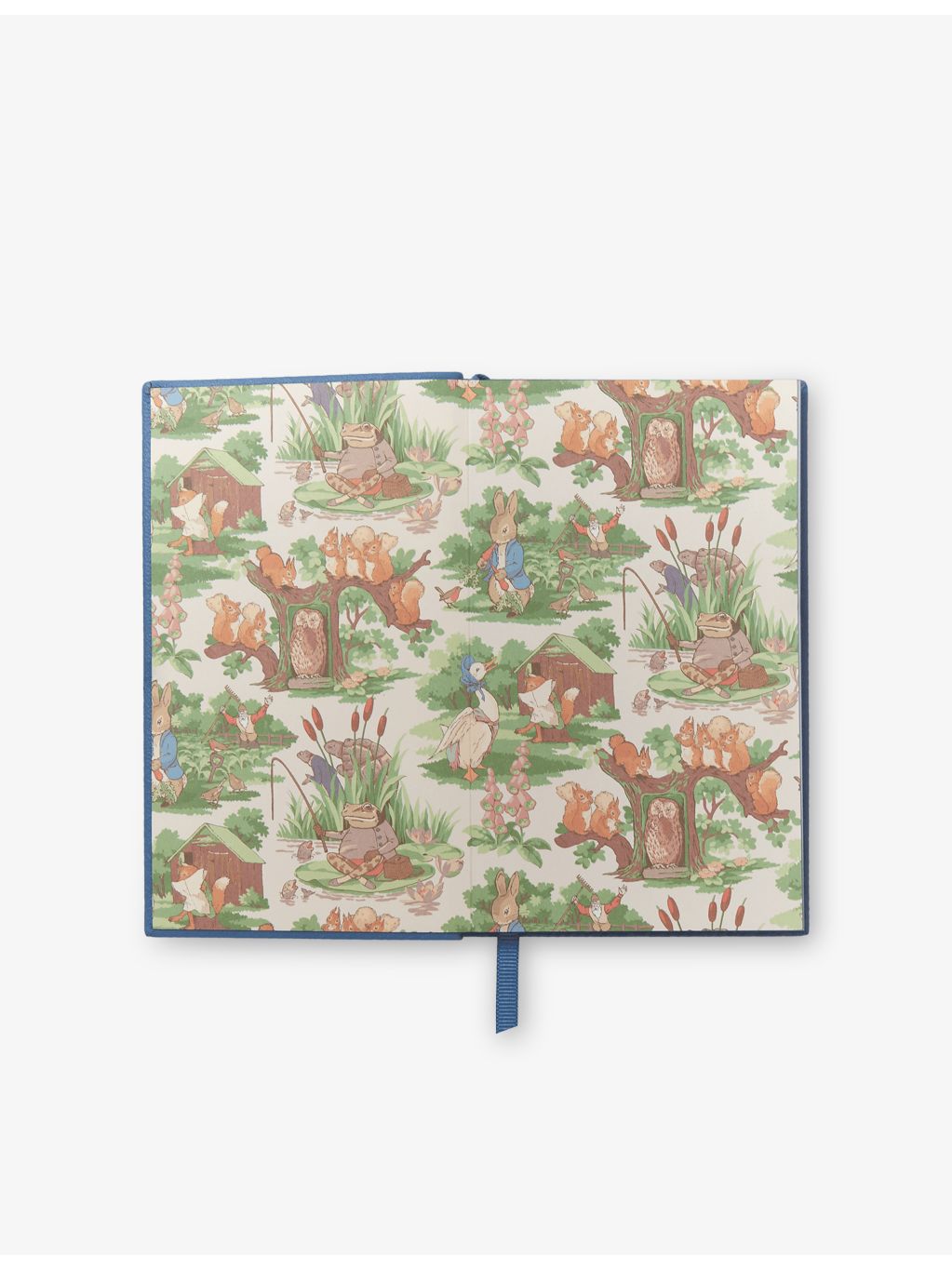 Smythson x Peter Rabbit notebook set, imported from the UK