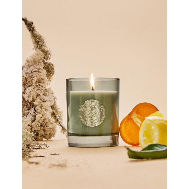 Penhaligon's Quercus scented candle 200g (British brand)