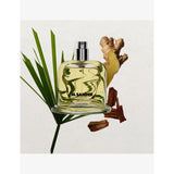 Jil Sander Mahogany eau de parfum refill 200ml, imported from the UK