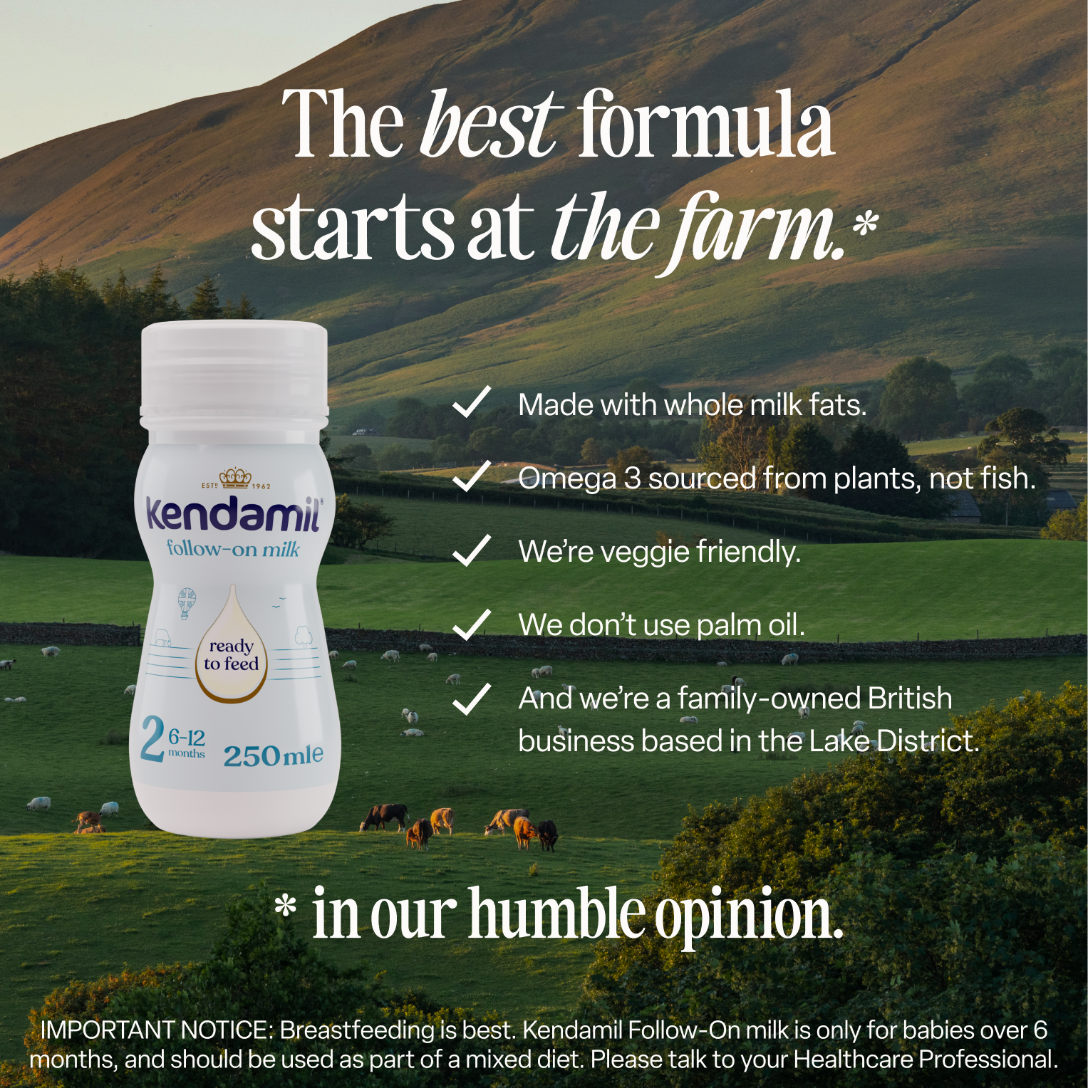 Classic Follow-On ready-to-feed baby milk 250ml bottles, imported from the UK