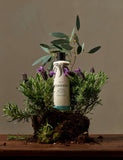 Relax body lotion with lavender and eucalyptus oils 300ml, imported from the UK