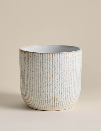 M&S Ridged Ceramic Planter- Buy online at McGrocer