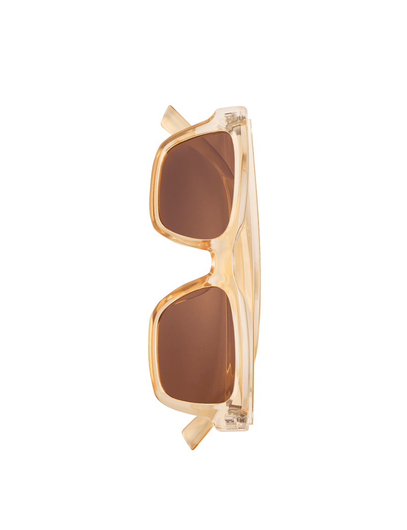 Chunky D-Frame Polarised Sunglasses