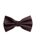 Autograph Pure Silk Bow Tie