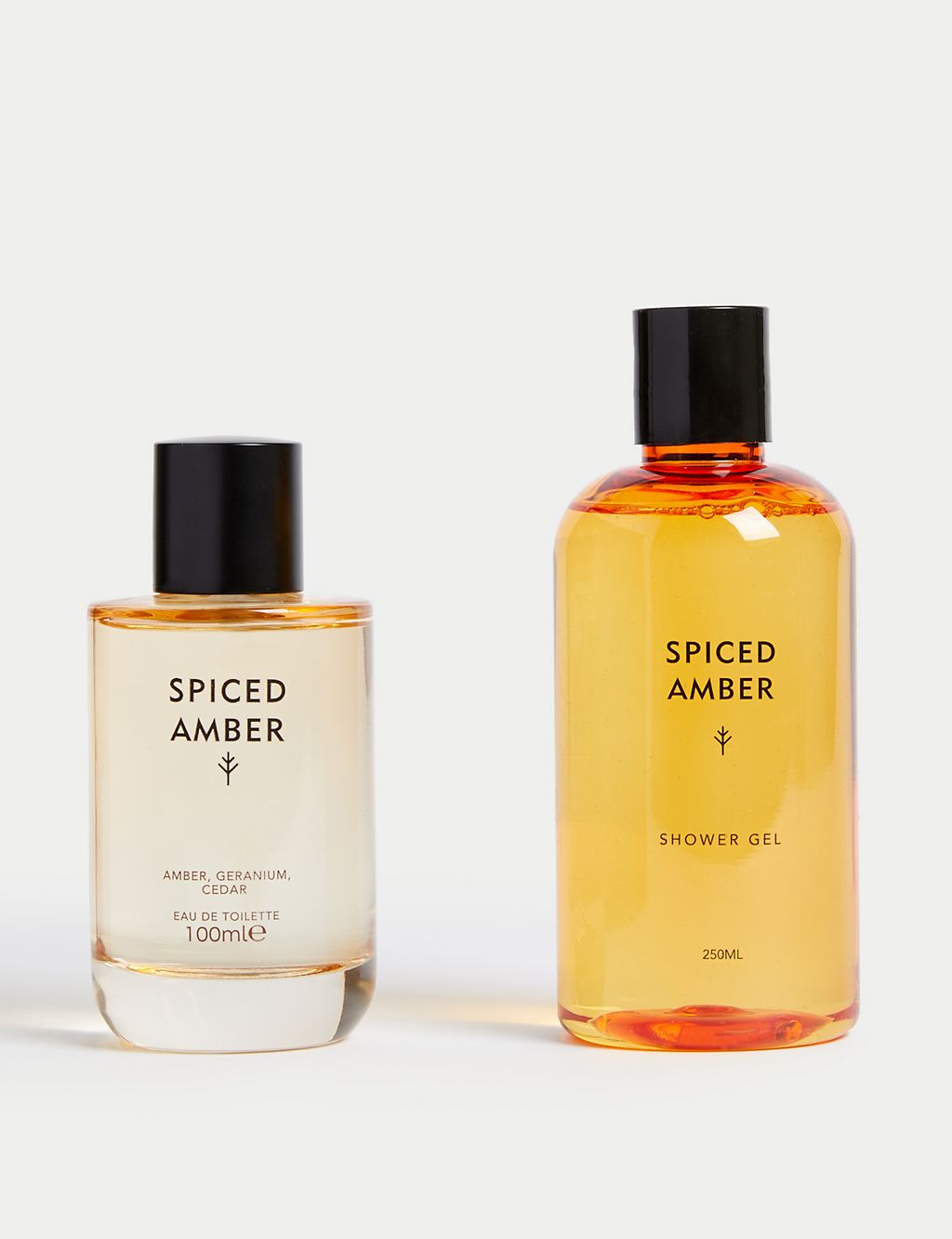 Discover Spiced Amber Fragrance Coffret 100ml GOODS M&S   