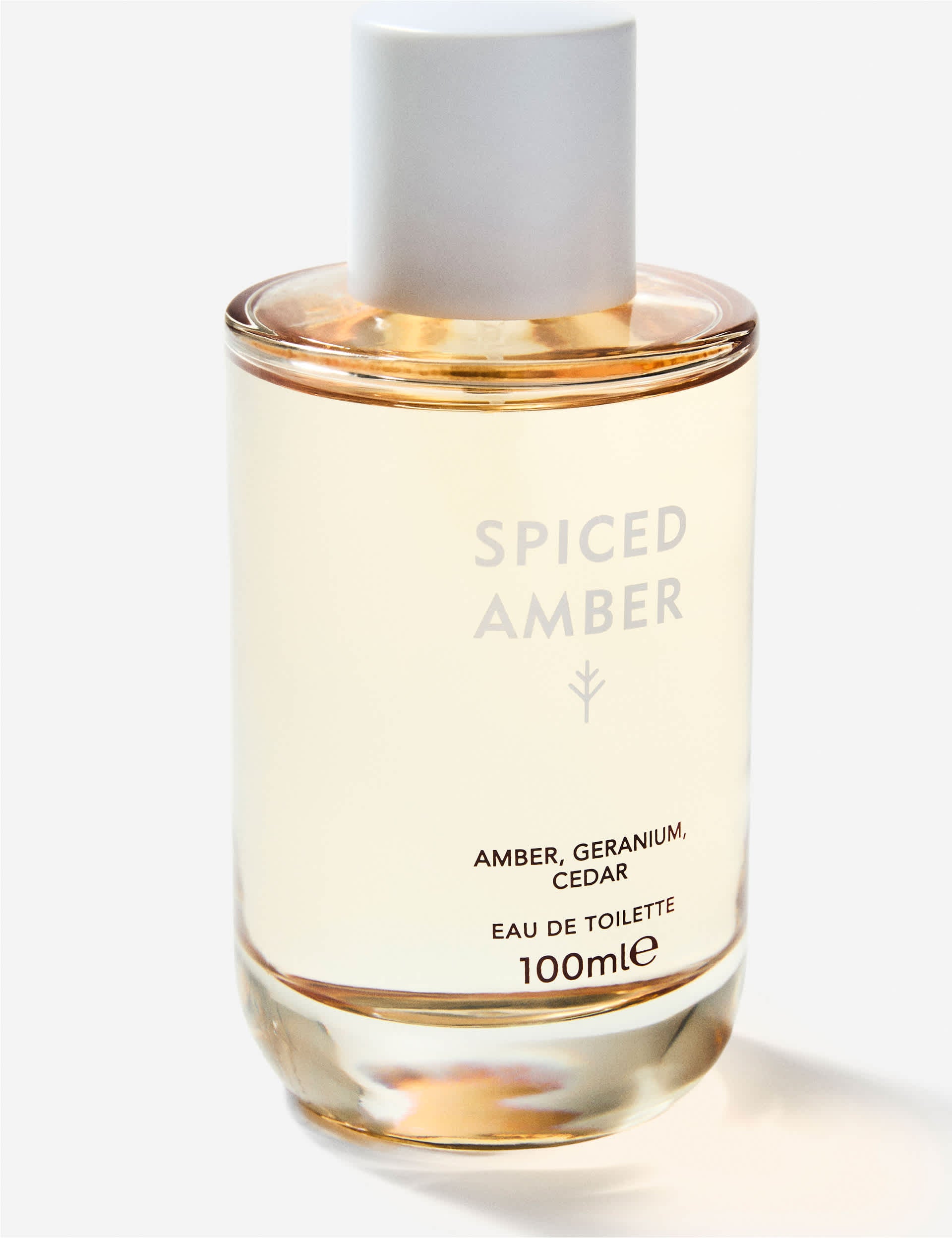 Discover Spiced Amber eau de toilette 100ml - British product