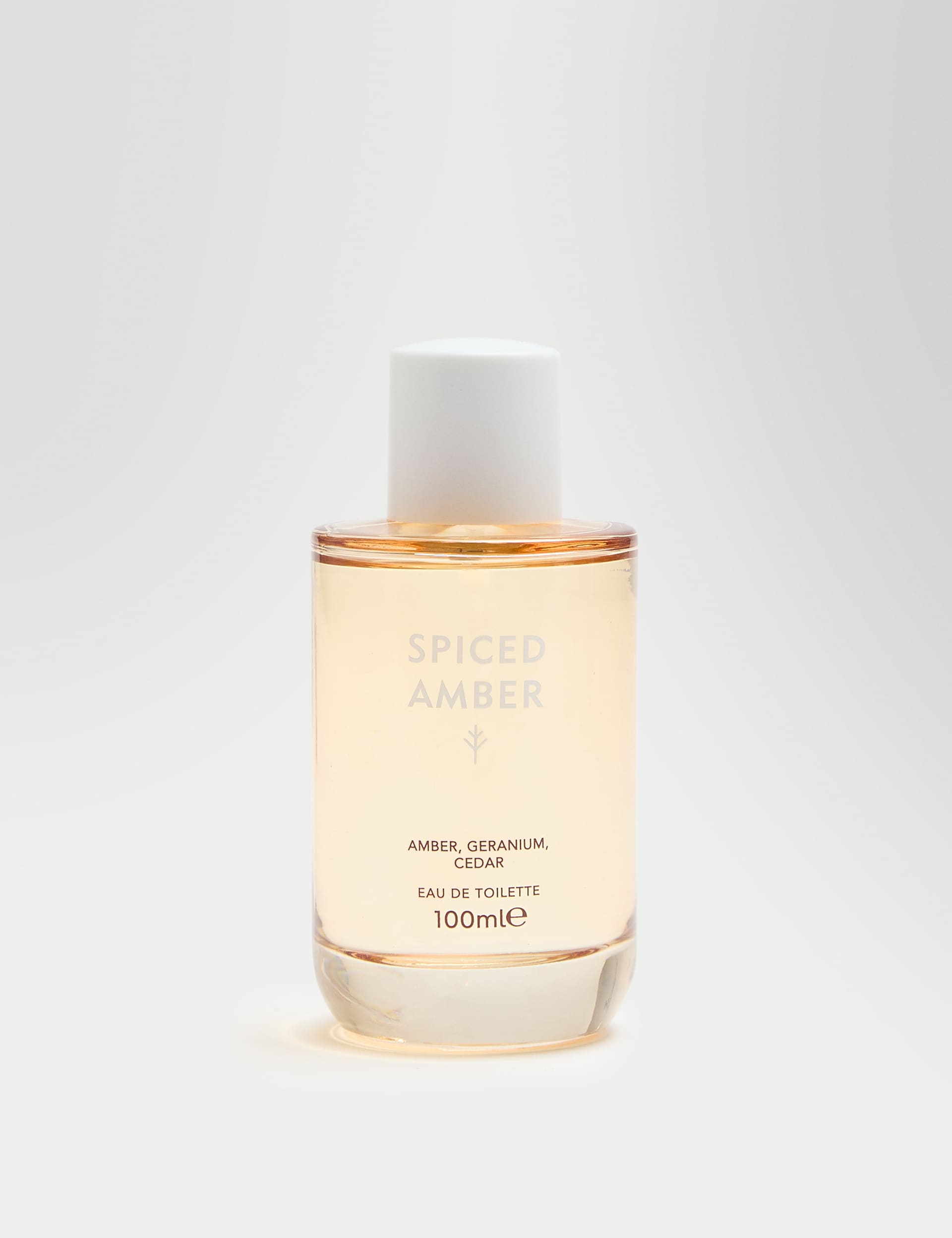 Discover Spiced Amber eau de toilette 100ml - British product