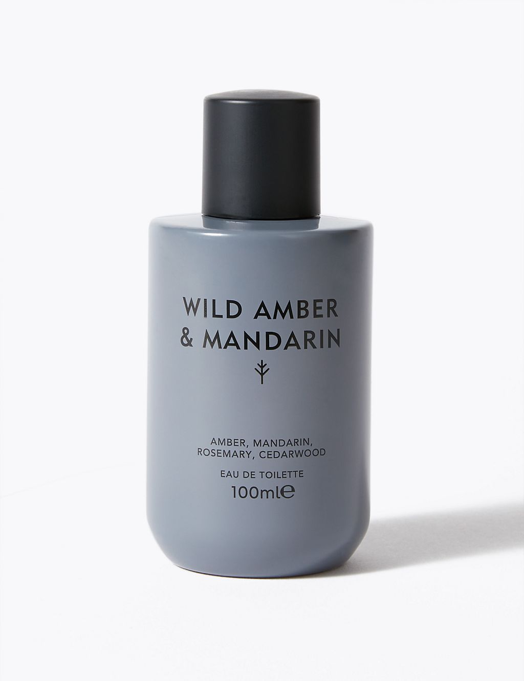 Wild Amber & Mandarin Eau de Toilette 100ml GOODS M&S   