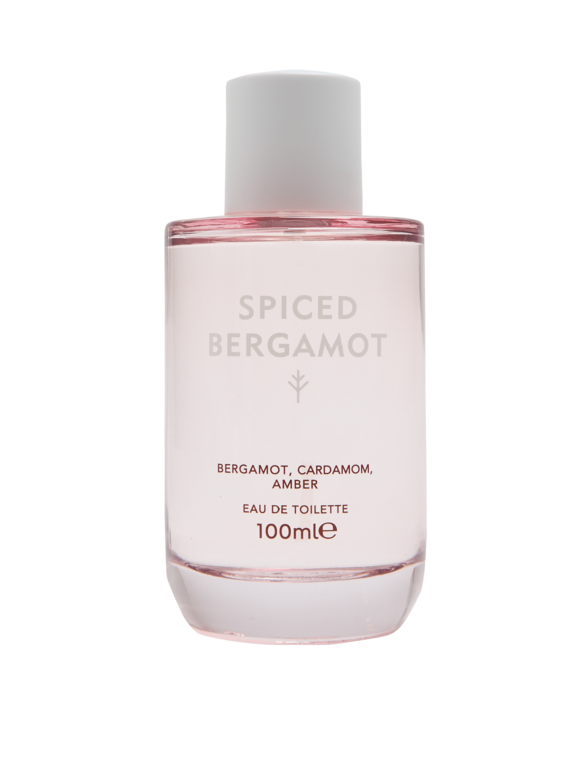 Spiced bergamot eau de toilette 100ml bottle (British brand)