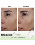 SKINLONGEVITY Butter Drench Cream 50g, imported from the UK