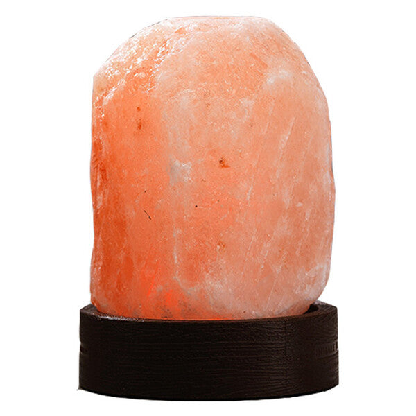 Prezzybox Mini Salt Lamp