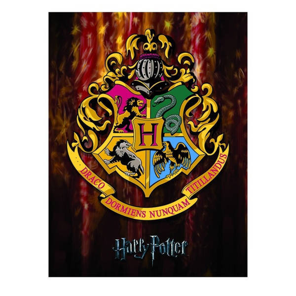 Harry Potter Hogwarts Crest Framed Canvas (50cm x 40cm)