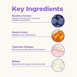 Frudia Blueberry and Honey Hydrating Lip Balm