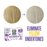 Little Soap Company Eco Warrior Purple Shampoo Bar