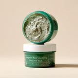 AXIS-Y Mugwort Pore Clarifying Wash Off Pack 100ml