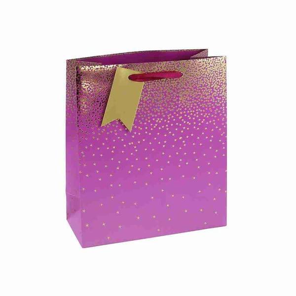 Eurowrap Ombre Gift Bag (Pack of 6)