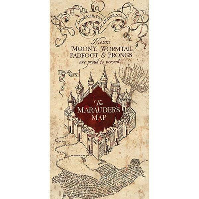 Superdrug Harry Potter Marauders Map Canvas Print- Buy online at McGrocer