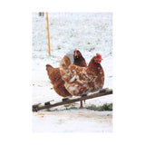 Kevin Milner Christmas Card