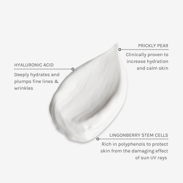 Evolve Beauty Climate Defence SPF 30 Sunscreen 40 ml