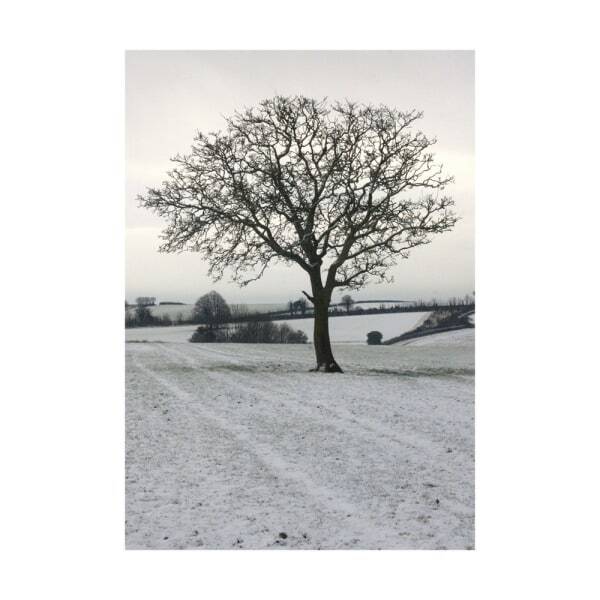 Kevin Milner Cope Farm Tree Christmas Card