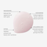 Evolve Beauty Resveratrol + Niacinamide Serum 30 ml
