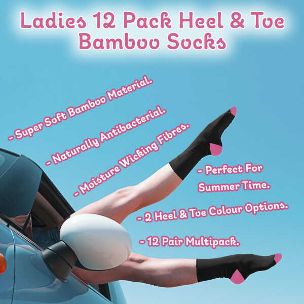 12 Pairs Ladies Low Cut Bamboo Trainer Socks 4-8