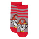 Paw Patrol Kids Socks (Pack of 5)