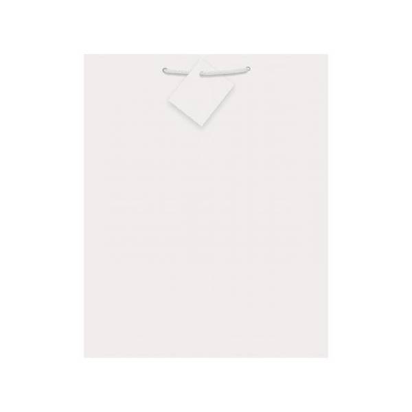 Gloss Gift Bag