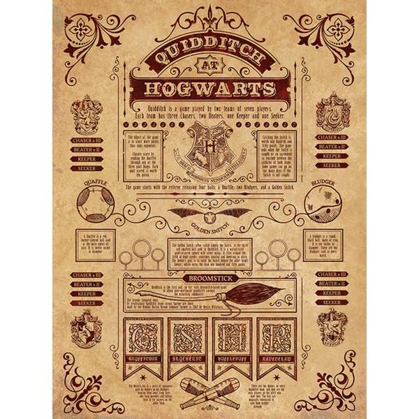 Harry Potter Quidditch Canvas Print