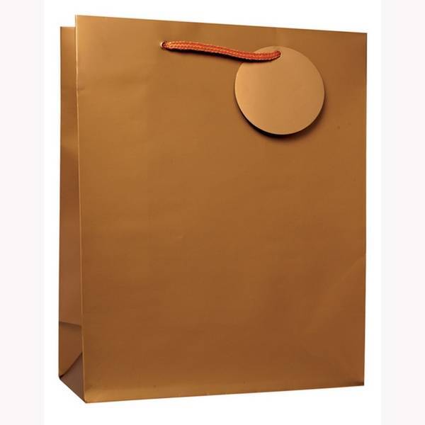 Simon Elvin Large Gold Gift Plastic Bags (Pack Of 6)