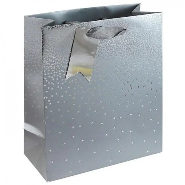 Eurowrap Ombre Gift Bag (Pack of 6) (M)