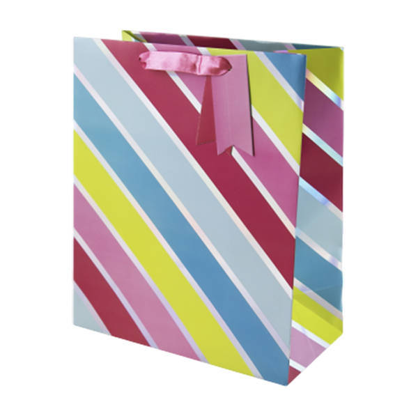 Eurowrap Holo Stripes Gift Bag (Pack of 6) (L)